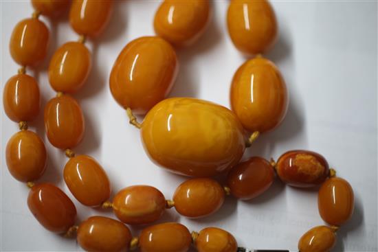 A single strand graduated oval amber bead necklace, 62cm.